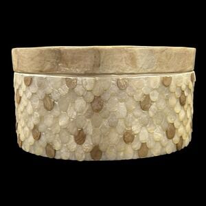 Vtg Unique Capiz Shell Oval Trinket Jewelry Makeup Box Nautical Beach Decor